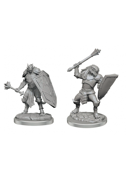 D&D Nolzur's Marvelous Unpainted Miniatures: Dragonborn Clerics